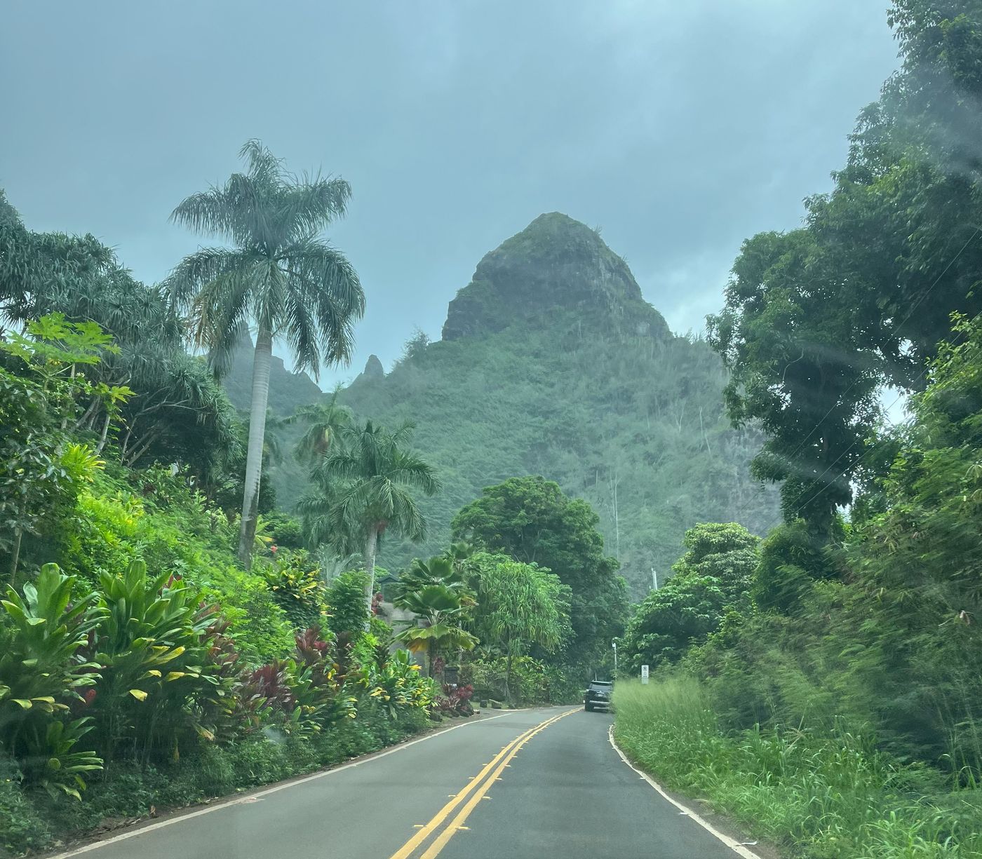Jungle road toward the Koʻolau mountains